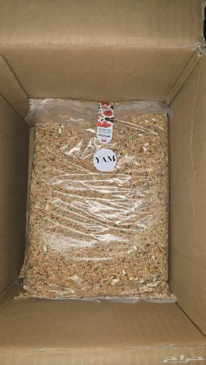 اكل طيور بادجي مشكل 2