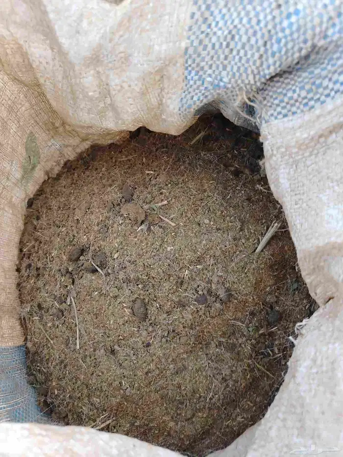 دمن او سماد غنمي 0