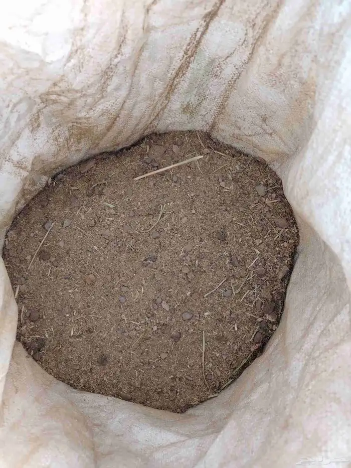 دمن او سماد غنمي 4