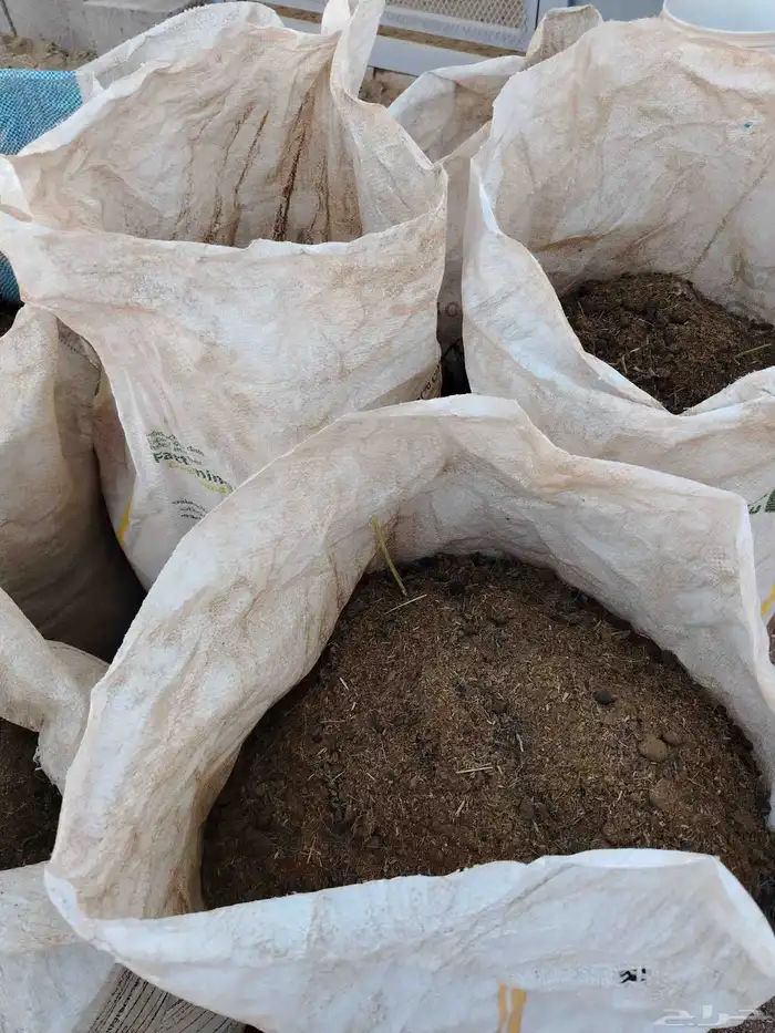 دمن او سماد غنمي 2