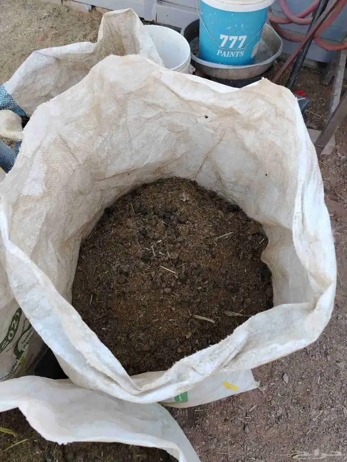 دمن او سماد غنمي 1