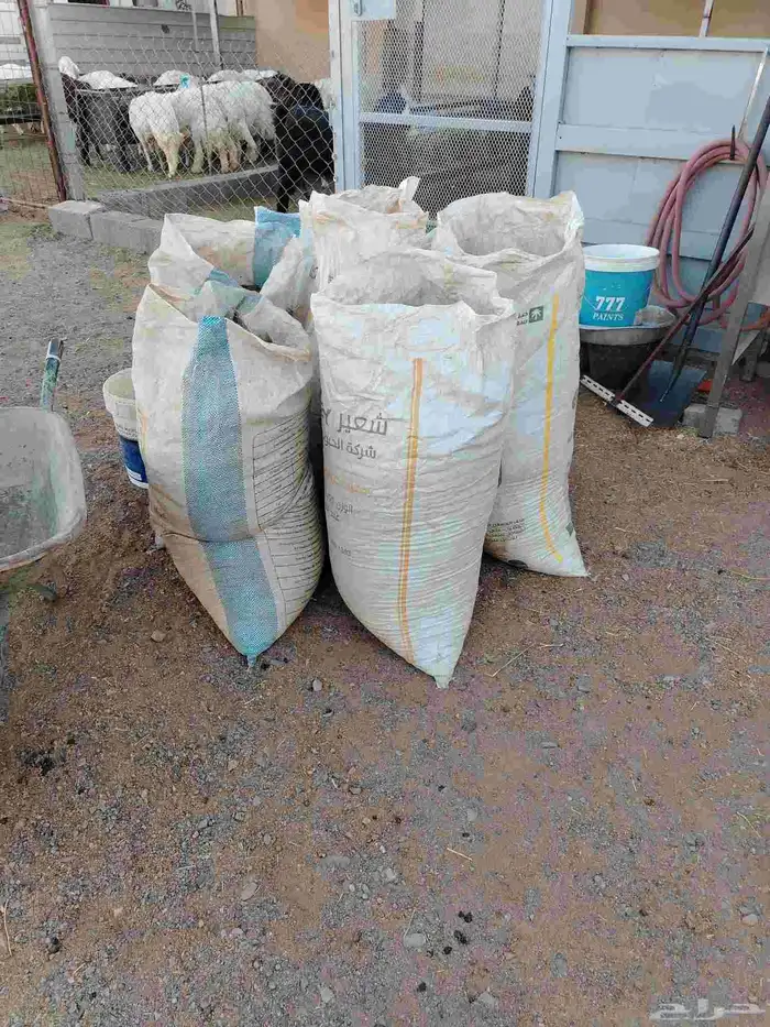 دمن او سماد غنمي 5