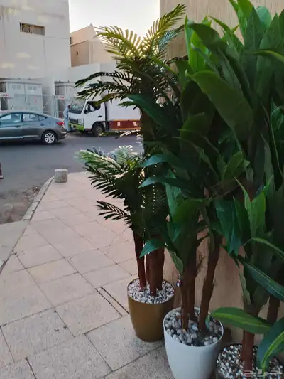 منسق حدائق شلالات نوافير عشب صناعي 11