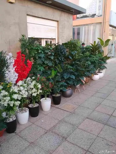 منسق حدائق شلالات نوافير عشب صناعي 12