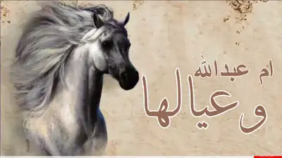 تنفيذ ارقى الزفات والشيلات بالأسماء لجميع المناسبات 9