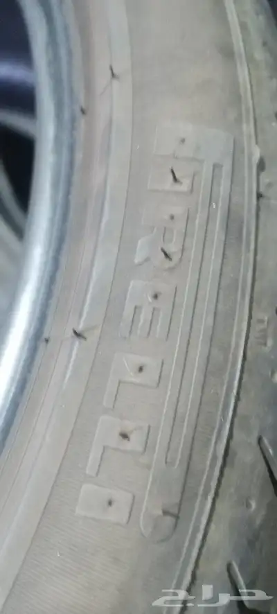 كفرات برلي يركب على دوج جنسس وغيره 1