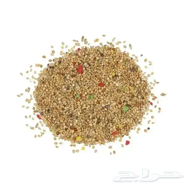 اكل طيور بادجي مشكل 1