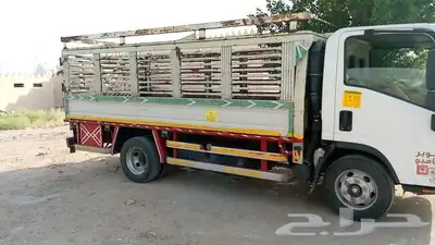دينا شبك 0
