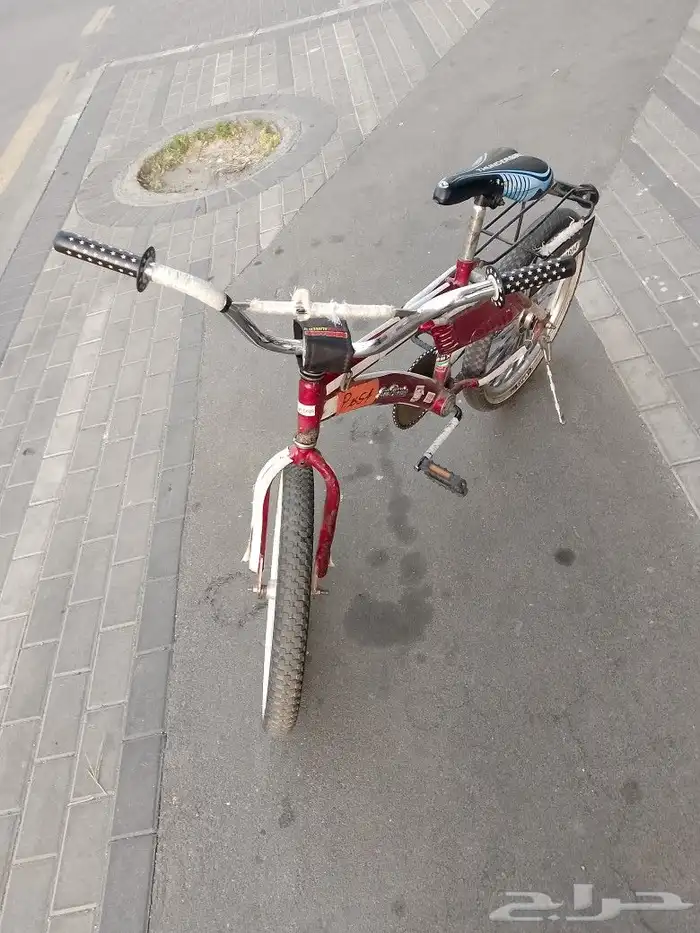 سيكل رامبو عنابي الجيل الثالث 6