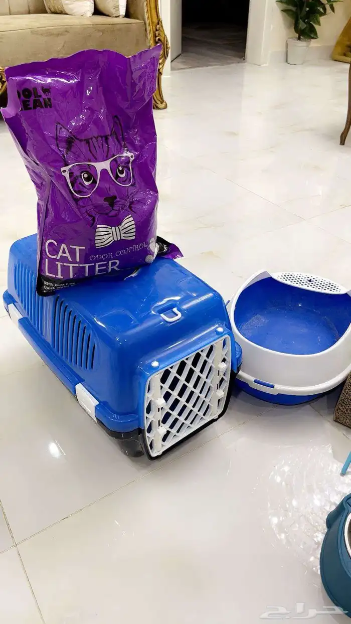 مستلزمات قطط 1