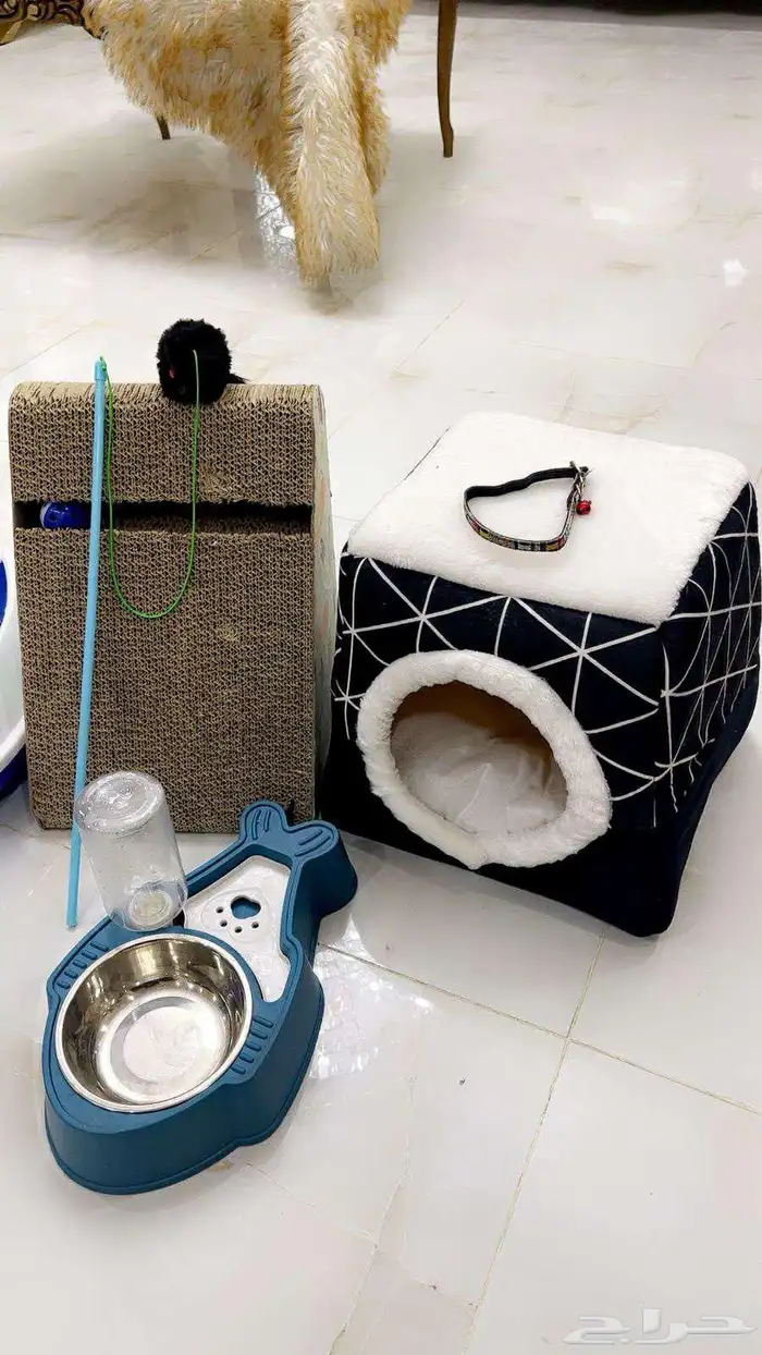 مستلزمات قطط 0