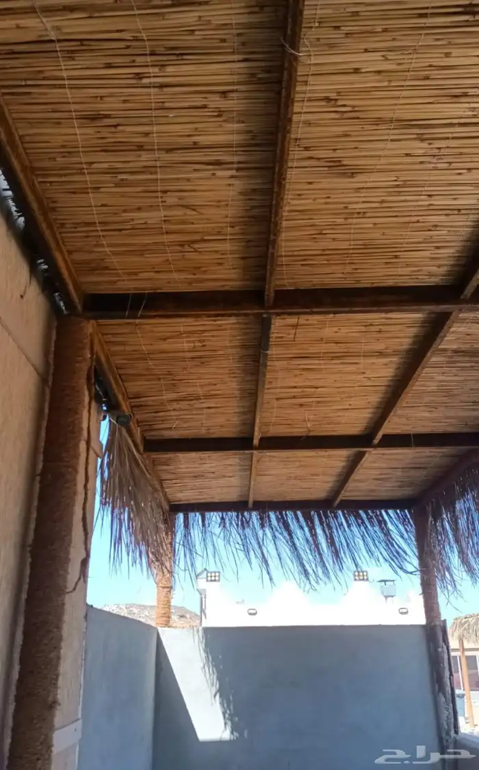 خيزران وعسف وبومبو افريقي وجميع انواعه وشحن لجميع مناطق المم 1