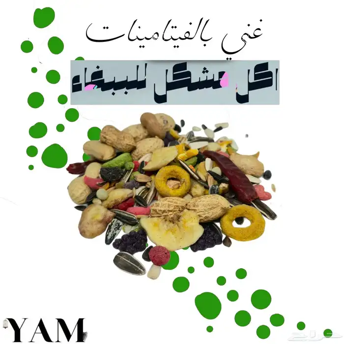 اكل مشكل للببغاء والطيور 0