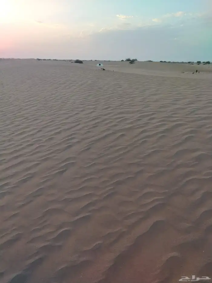 يوجد لدينا رمل ناعم سافي كميات كبيرة بأقل الأسعار 0