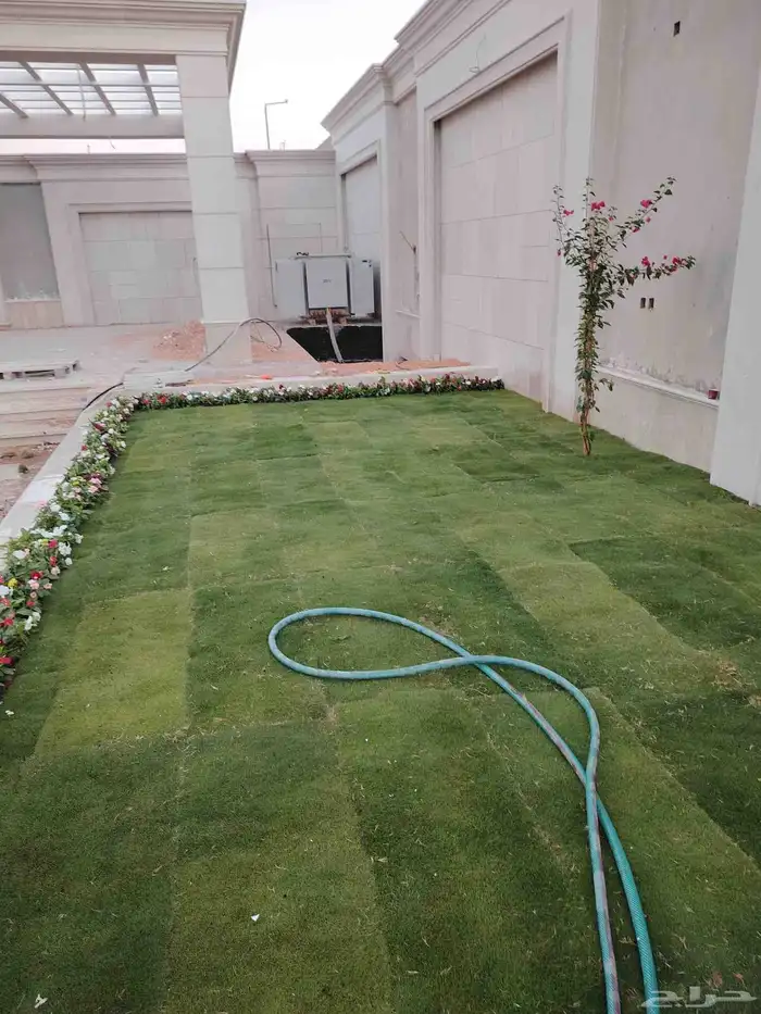 توريد وزراعة النخيل والاشجار والزهور والثيل الطبيعي 9