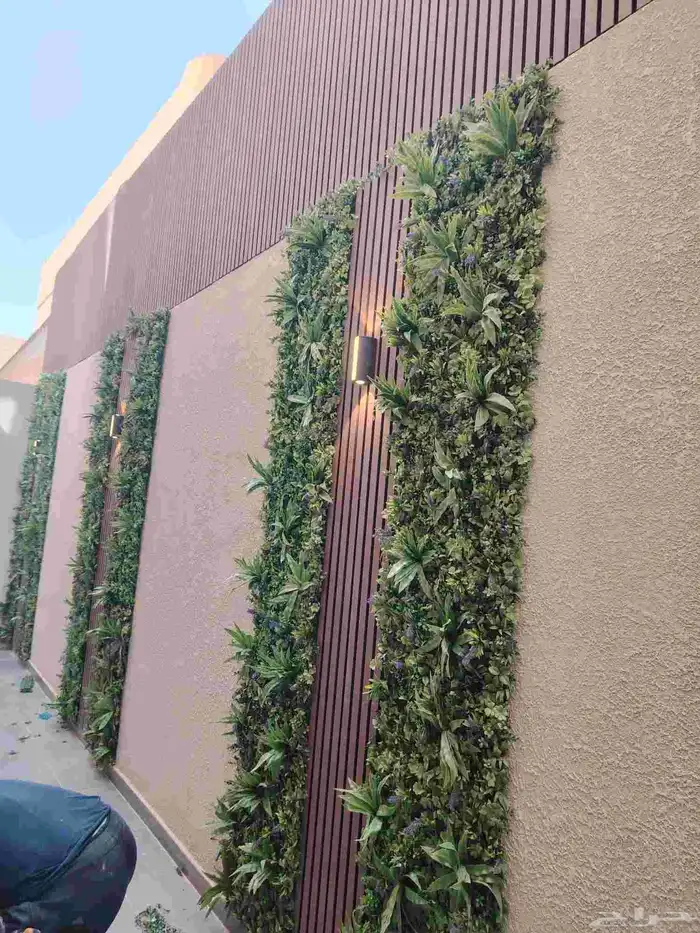 توريد وزراعة النخيل والاشجار والزهور والثيل الطبيعي 3