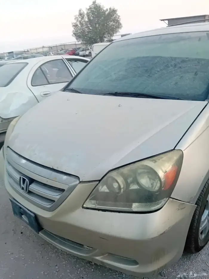 موديل 2006 5