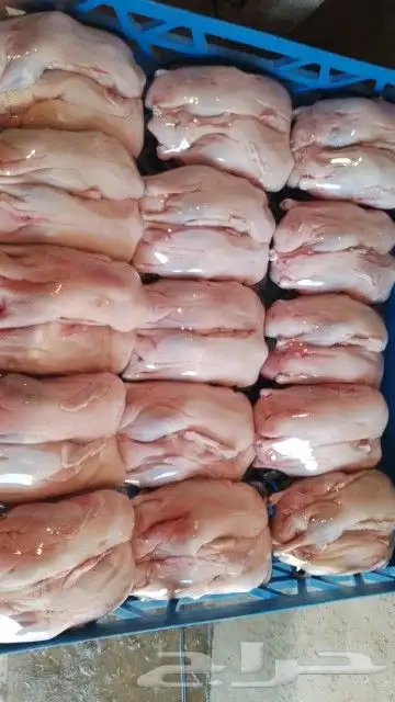 يتوفر بط لحم الجوز على 40 1
