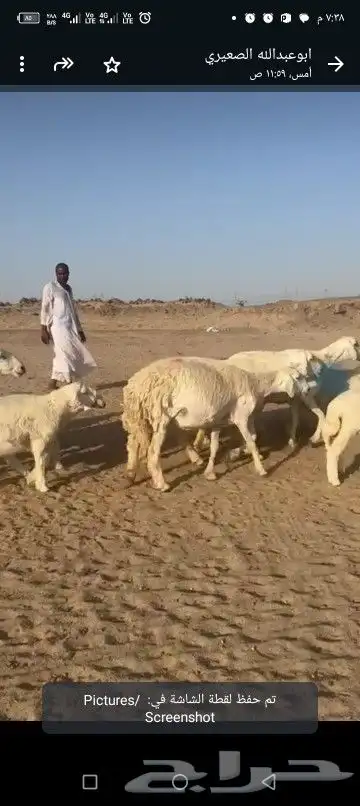 حريات خلفات طيبه 2