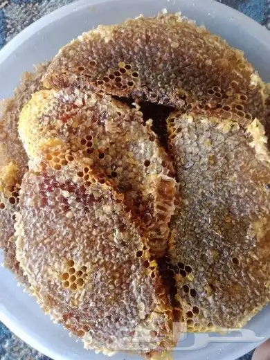 عسل مراعي زهور 0