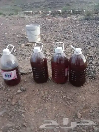 عسل مراعي زهور 1