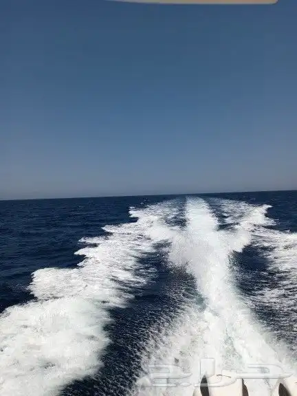 جزيرة بياضة مالديف جدة بياضه جزيرة ابو طير تأجير يخوت وقوارب 5