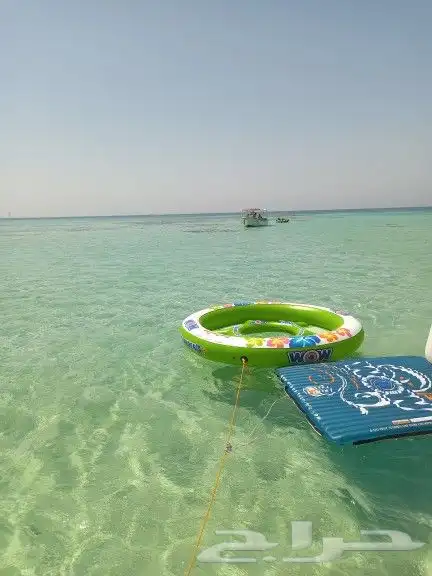 جزيرة بياضة مالديف جدة بياضه جزيرة ابو طير تأجير يخوت وقوارب 1