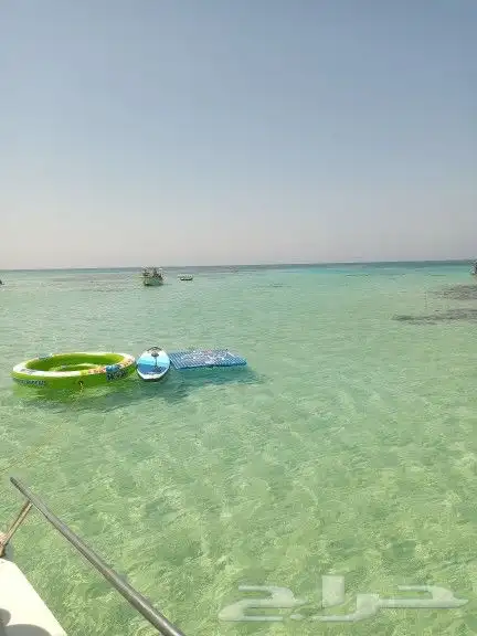 جزيرة بياضة مالديف جدة بياضه جزيرة ابو طير تأجير يخوت وقوارب 2