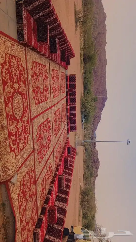 جلسات للايجار اليومي المربع أحد رفيده 6