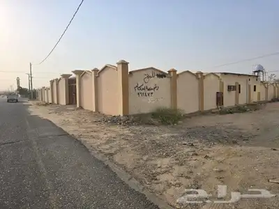 ملكان 11