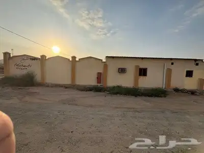 ملكان 9