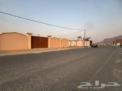 ملكان 5