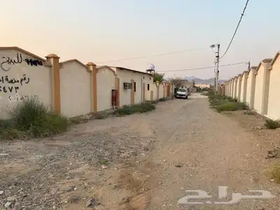 ملكان 13