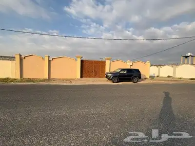 ملكان 7