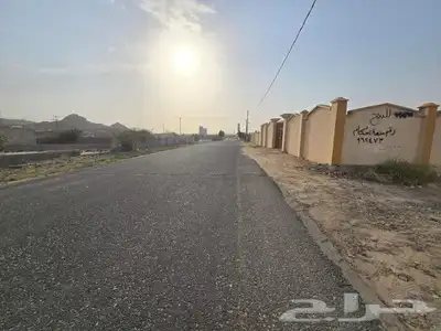 ملكان 3