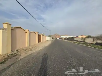 ملكان 4