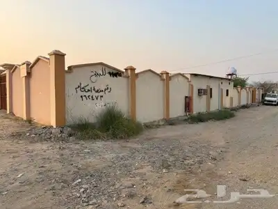 ملكان 14
