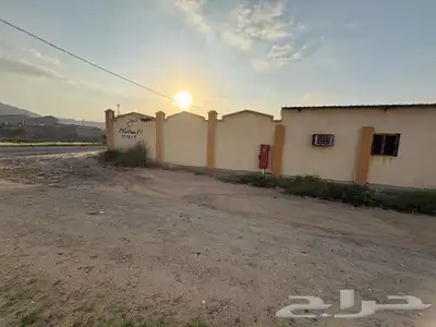 ملكان 15