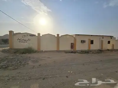 ملكان 8