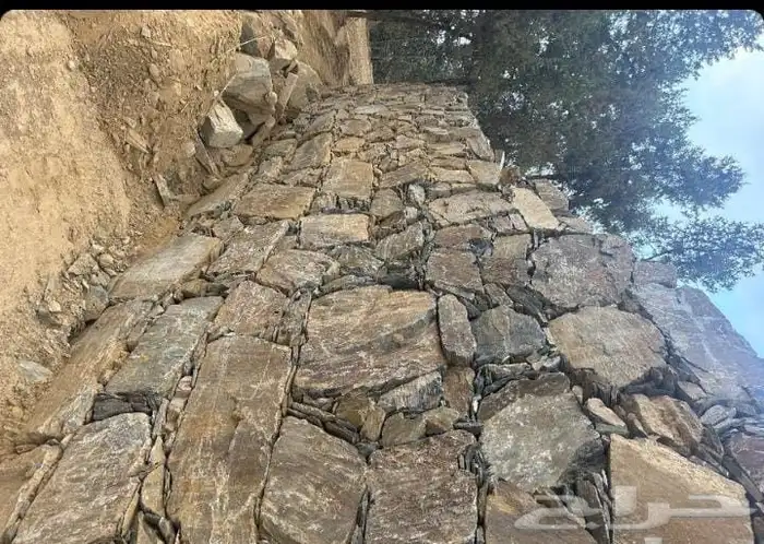 محمد اليماني معلم حجر 4