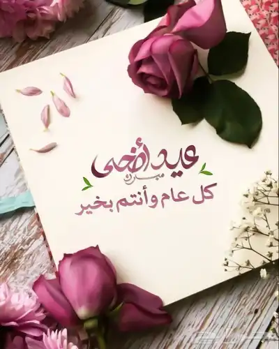 طبخات جنوبيه شعبيه 0