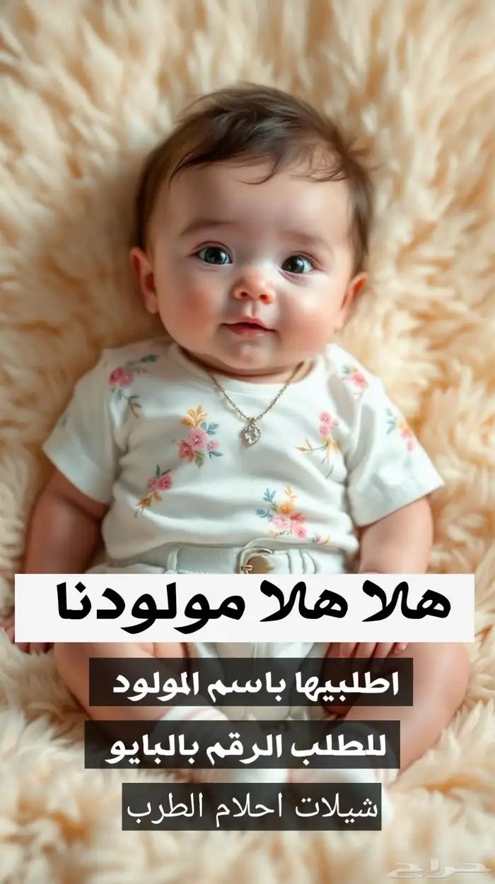 استديو احلام الطرب لتنفيذ الزفات والشيلات والقصائد الشعرية 2