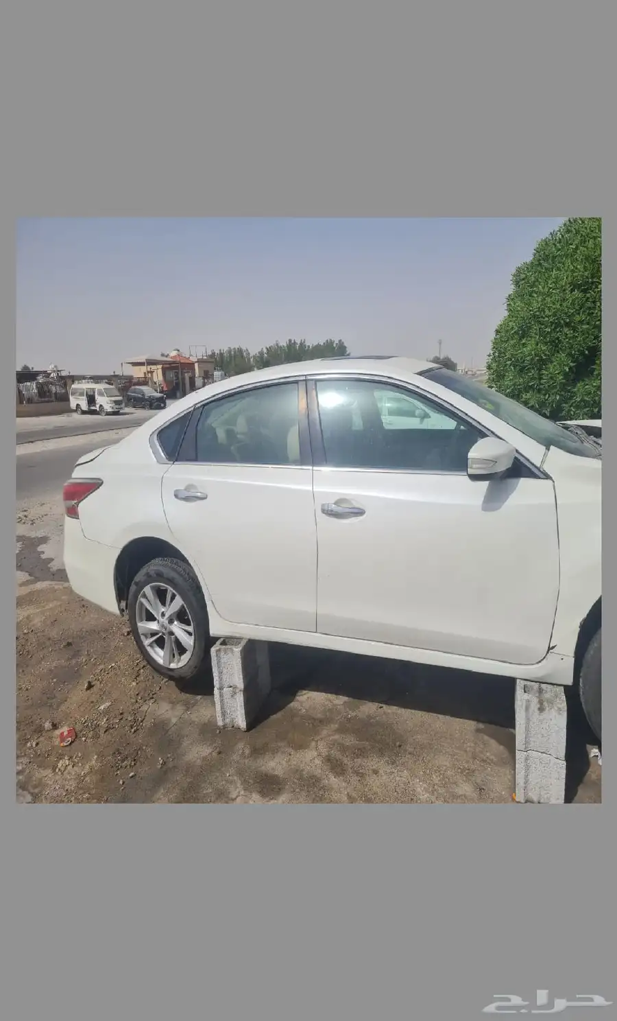 نيسان التيما 1014 2