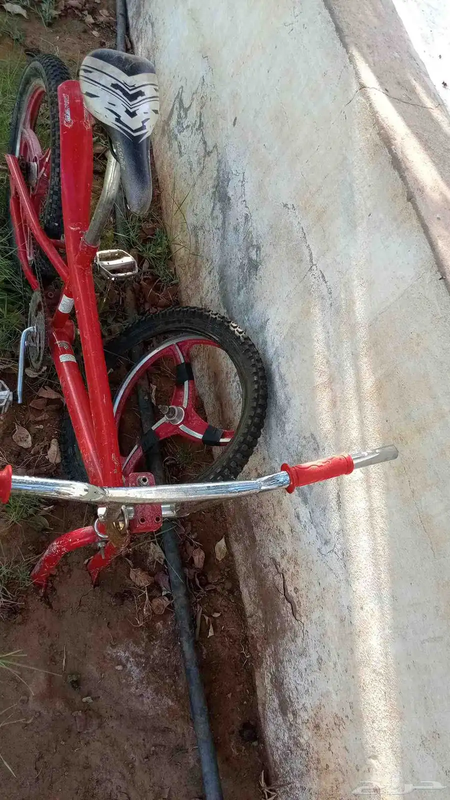 سيكل كوبرا مقاس 20 4