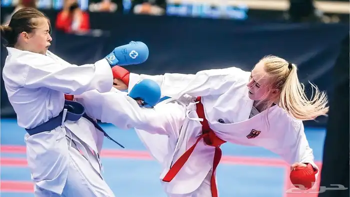 عرض الصيف والدفاع عن النفس والثقه بالنفس وتعليم القياده 1