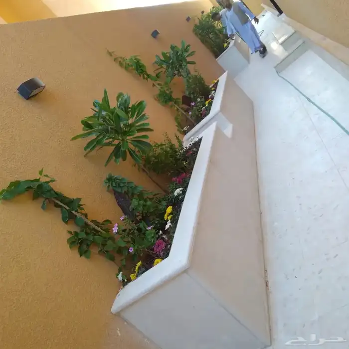 مهندس زراعي الرياض خبرة 25 سنة 1