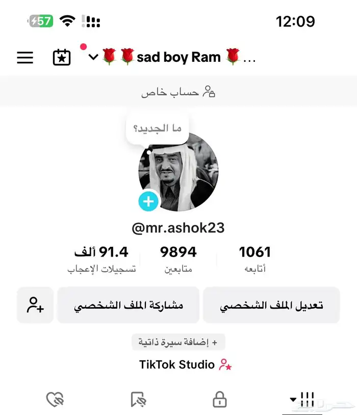 حسابات تيك توك 3