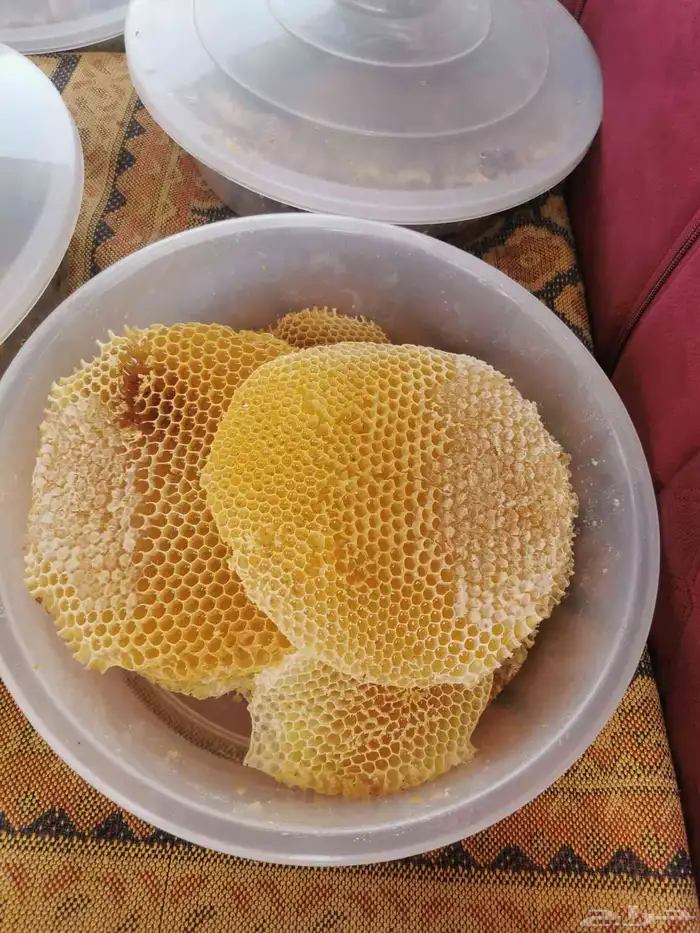 عسل موسم السمره والسلام 21