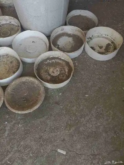 صحون تفقيس للطيور والدجاج 0
