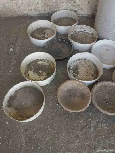 صحون تفقيس للطيور والدجاج 1
